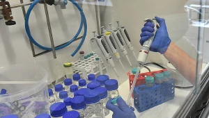 Okazało się, że 297 osób jest zakażonych koronawirusem /na zdjęciu praca w laboratorium