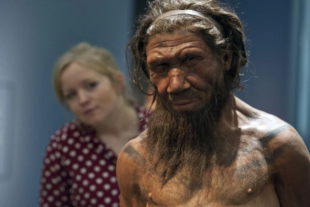 Naukowcy od wielu lat łamią sobie głowy nad tym, dlaczego neandertalczycy wyginęli Naukowcy od wielu lat łamią sobie głowy nad tym, dlaczego neandertalczycy wyginęli