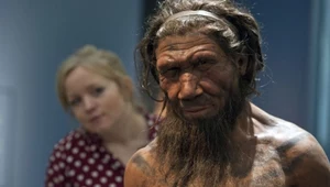 Neandertalczycy wymarli, bo przegrali rywalizację z Homo sapiens?