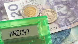 NBP: W III kw. banki zamierzają złagodzić warunki kredytowania gospodarstw domowych