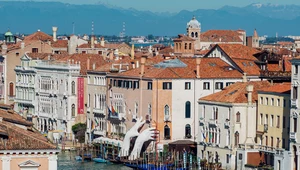 Włoskie miasto wprowadza ograniczenia dla turystów. Wstęp tylko z płatnym biletem 