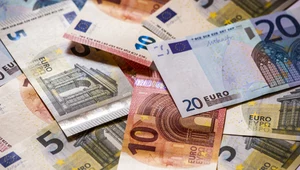 Kolejne państwo wprowadziło euro. Zmiany właśnie zaczęły obowiązywać