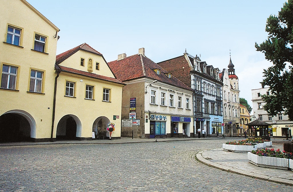 Kopalnia Rud Ołowiu, Srebra i Cynku w Tarnowskich Górach Zlokalizowana w Tarnowskich Górach kopalnia to miejsce zupełnie inne niż - również wpisane na listę - kopalnie w Wieliczce i Bochni. Atrakcją są tutaj nie eleganckie, solne rzeźby, ale zastosowane w kopalni rozwiązania inżynieryjne. W kopalni skonstruowano system odwadniający, wykorzystujący siłę grawitacji. Dzięki niemu, zabezpieczono wyrobiska przed zalaniem, a wypompowywaną z kopalni wodę, dostarczano do gospodarstw w regionie. Był to największy tego rodzaju system na świecie. 