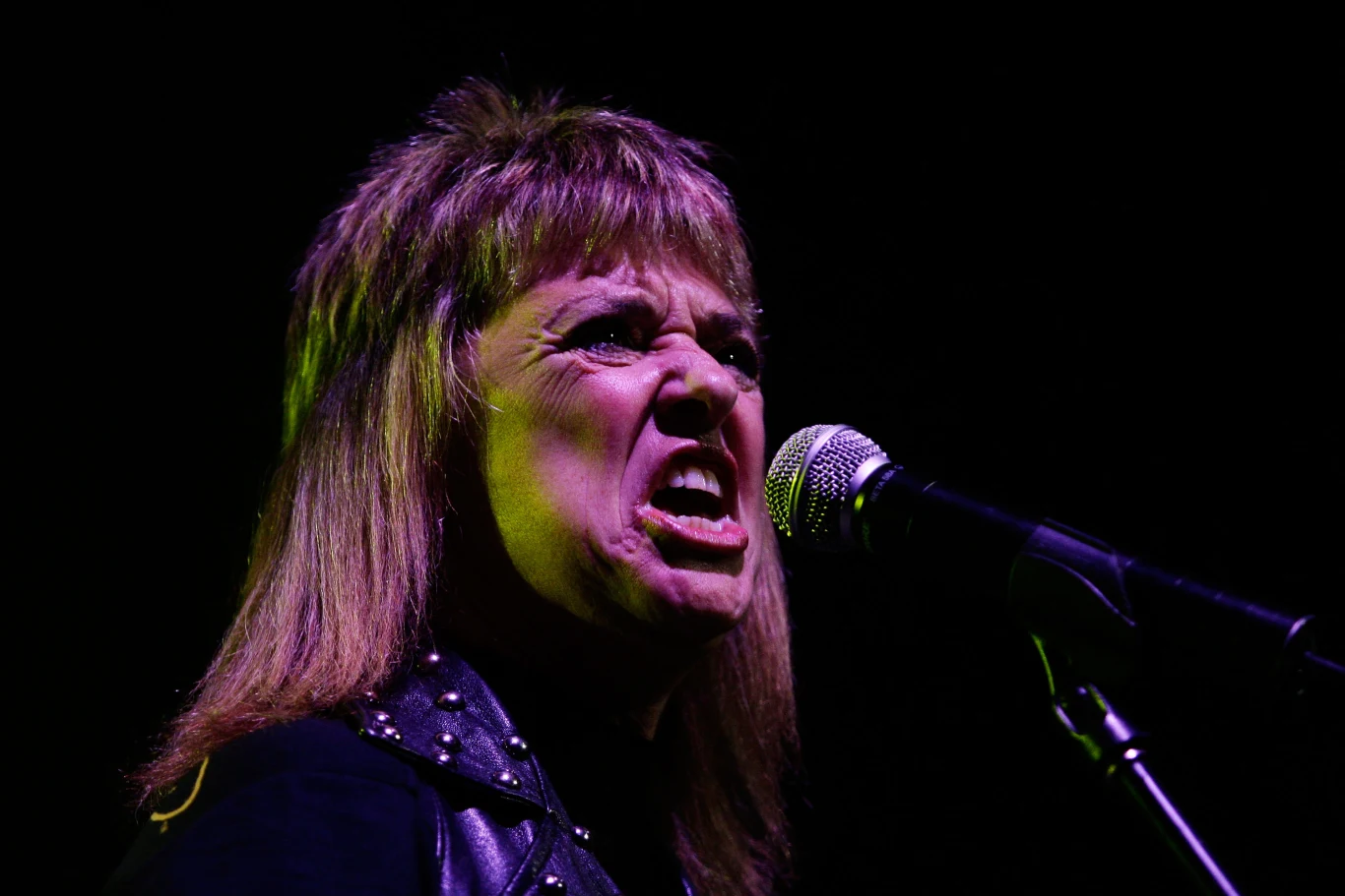 Suzi Quatro do zajęcia się muzyką zainspirowała takie kobiety, jak m.in. Joan Jett, Tina Weymouth (Talking Heads), Chrissie Hynde (The Pretenders), zespoły The Runaways i Girlschool. Suzi Quatro w 2009 r. w Australii.