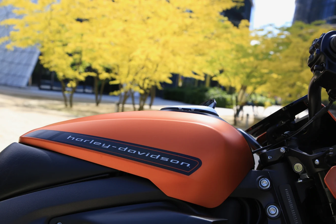Harley-Davidson LiveWire. Zdjęcia Harley-Davidson LiveWire. Zdjęcia