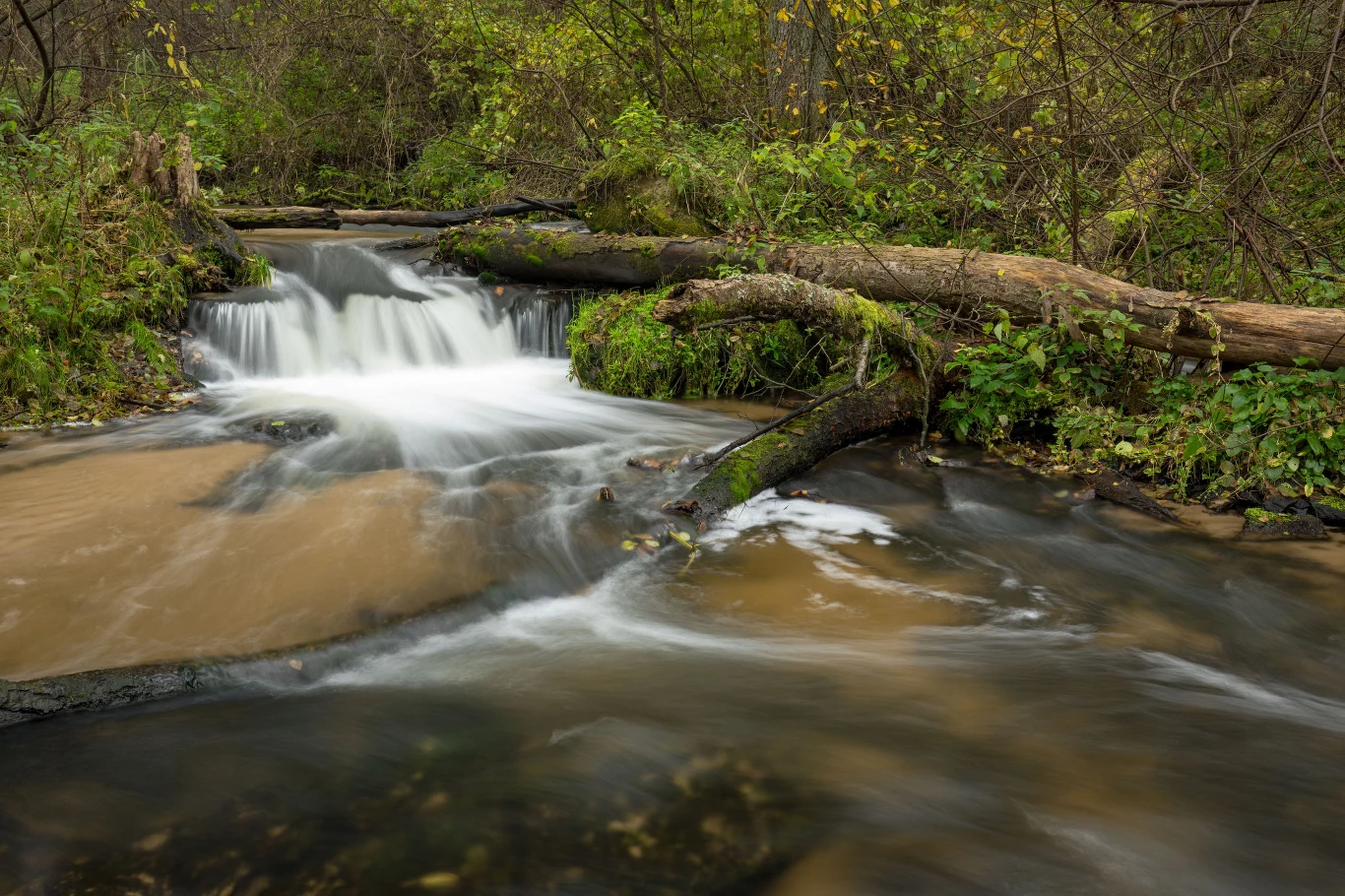 Roztocze to przepiękna kraina geograficzna, łącząca Wyżynę Lubelską z Podolem. Przebiega z północnego zachodu, od Kraśnika, na południowy wschód aż do Lwowa. Z uwagi na wyjątkowe walory przyrodnicze Roztocza, utworzono tu Roztoczański Park Narodowy, Parki Krajobrazowe oraz rezerwaty. To miejsce na styku kultur, gdzie przyroda jest piękna, a historia bogata. Roztocze to nie tylko atrakcje turystyczne, ale też obszar wyjątkowy ze względu na klimat – gęste lasy, rzadką zabudowę, ciszę i kontakt z naturą.