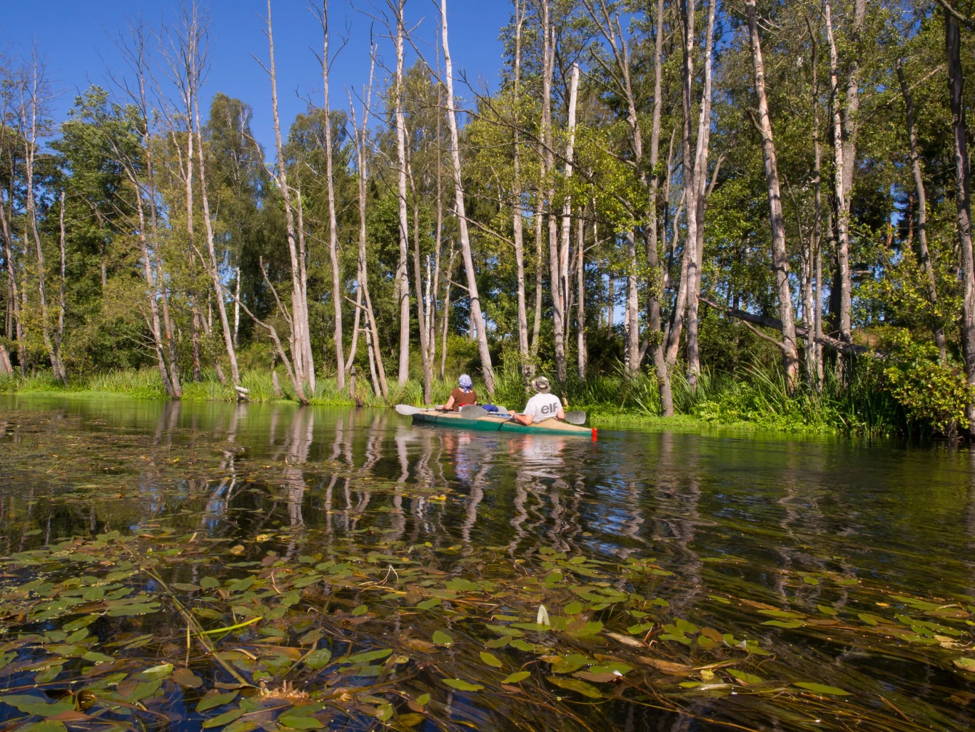 Bory Tucholskie to największy w Polsce obszar leśny. W polodowcowym terenie kryją się malownicze jeziora o nieregularnej linii brzegowej. Bory Tucholskie to bogactwo szlaków pieszych i rowerowych. W połączeniu ze świetną infrastrukturą sprawia, że jest to idealne miejsce na urlop. Charzykowy i Swornegacie – to najpopularniejsze i urokliwe miejscowości tego regionu mieszczące się nad jeziorami. Będąc w pobliskim Człuchowie warto zwiedzić ruiny zamku krzyżackiego, a w Chojnicach starówkę ze średniowiecznymi fortyfikacjami. Przez Bory Tucholskie przepływają rzeki Brda i Wda, obie świetne dla kajakarzy.