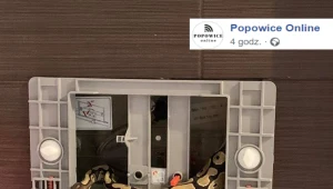 Wrocław: Pyton w spłuczce. Akcja trwała ponad sześć godzin