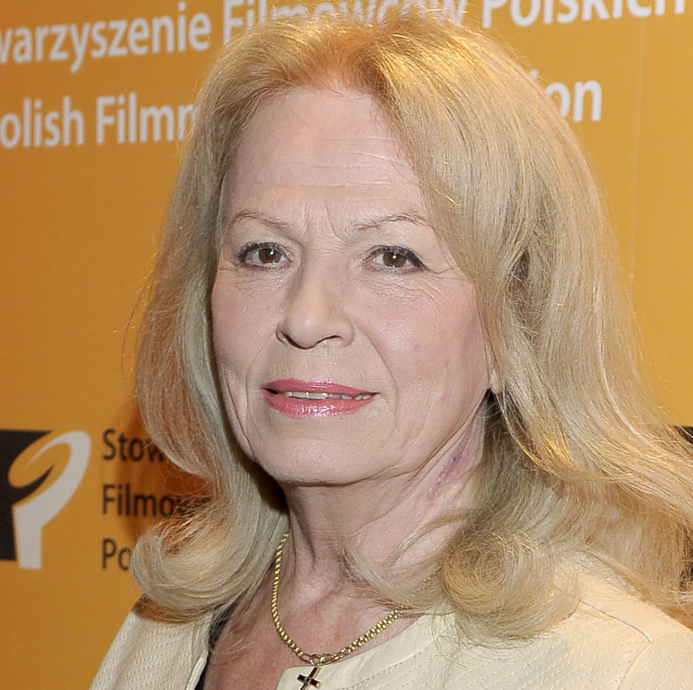 Irena Karel w 2015 roku