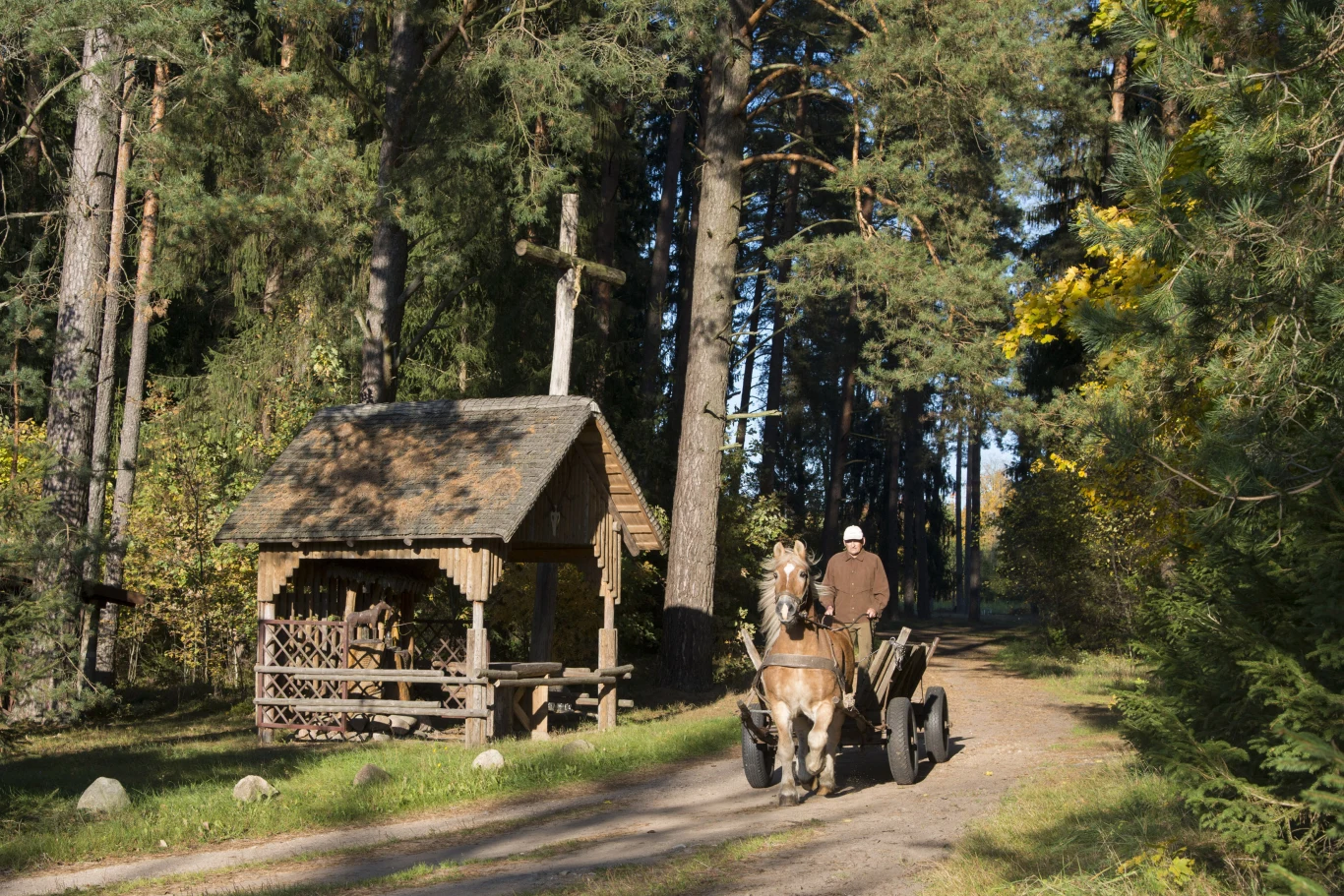 Suwalszczyzna to jeden z nielicznych regionów Polski, w którym udało się zachować nieskażoną przyrodę. Naturalne piękno tego regionu wyróżnia się na tle całej Europy, w której coraz mniej tak dziewiczo urokliwych zakątków. 