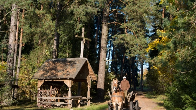 Suwalszczyzna to jeden z nielicznych regionów Polski, w którym udało się zachować nieskażoną przyrodę. Naturalne piękno tego regionu wyróżnia się na tle całej Europy, w której coraz mniej tak dziewiczo urokliwych zakątków.  