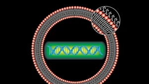 Lek na koronawirusa - nanotechnologia może zniszczyć COVID-19