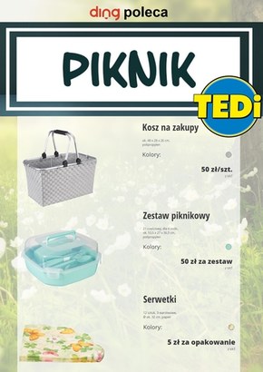 Piknik z TEDi