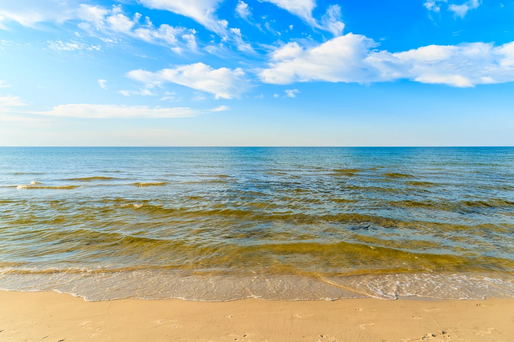 Gdzie jest najcieplejsza woda w Bałtyku, a gdzie jest najzimniej?                
                        

                    
                                            
                            
            
                        
