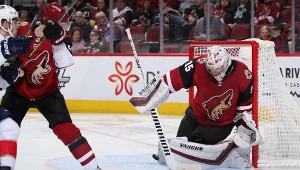 Hokeiści Arizona Coyotes