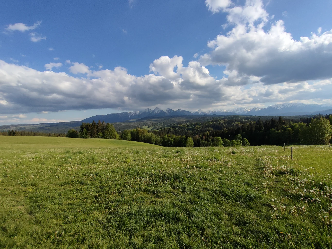 Obiektyw ultraszerokokątny