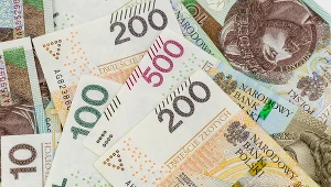 Co roku rabują z naszej kasy 63,8 mld złotych