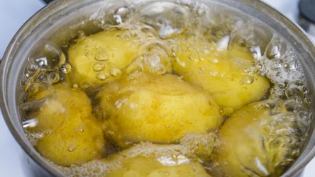 Jak gotować ziemniaki, by były szybciej gotowe?