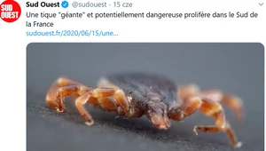 Władze Francuskiej Riwiery apelują do mieszkańców i turystów o zachowanie szczególnej ostrożności,