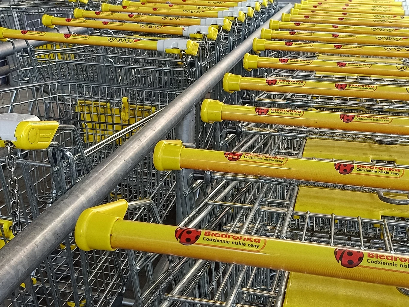 Zdjęcie wykonane Oppo A91