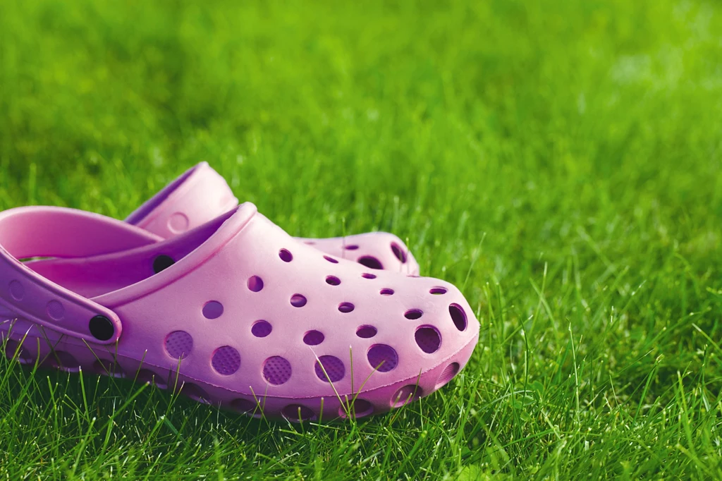 Buty do ogrodu, tylko do ogrodu. Co takiego się stało, że wdarły się z impetem na plaże, ubieramy je spacer z psem i do sklepu, a nawet na randkę? Są kobiety, które chodzą w nich cały dzień. Ten model damskiego obuwia nie przypadł do gustu panom. Trudno polemizować... do ideału mu daleko. Buty do ogrodu, tylko do ogrodu. Co takiego się stało, że wdarły się z impetem na plaże, ubieramy je spacer z psem i do sklepu, a nawet na randkę? Są kobiety, które chodzą w nich cały dzień. Ten model damskiego obuwia nie przypadł do gustu panom. Trudno polemizować... do ideału mu daleko.