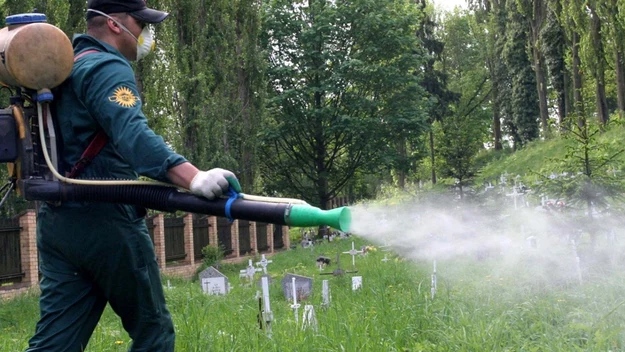 Działanie należy podjąć od razu - im wcześniej zastosuje się odpowiednie kroki, tym większa szansa na pozbycie się rdestowca. Najpowszechniejszym środkiem do walki z chwastem są herbicydy. Jednak zamiast klasycznego opryskiwania rośliny zaleca się bardziej drastyczne środki: wstrzykiwanie pestycydu bezpośrednio w jej łodygi.