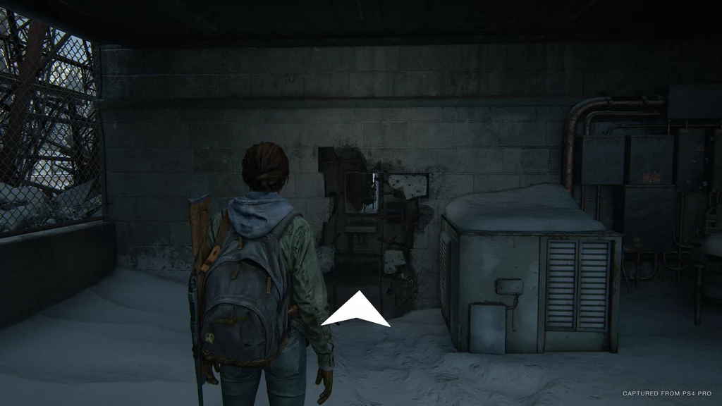 The Last of Us 2