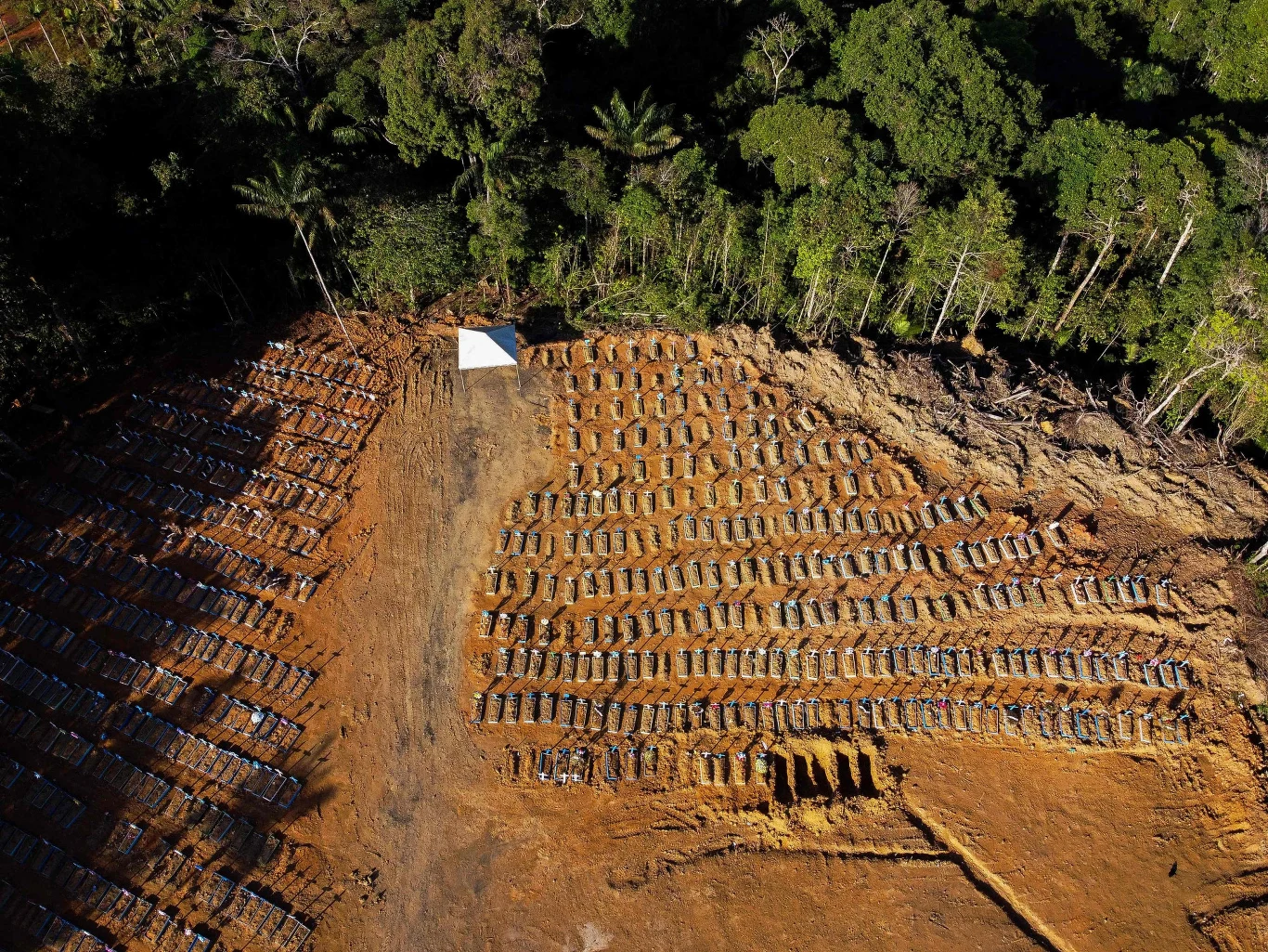 W niektórych metropoliach sytuacja jest na tyle poważna, że służby musiały zacząć kopać masowe groby, by pochować ofiary wirusa.
