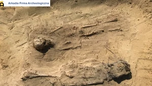 ​Jeżowe: Niezwykłe odkrycie na terenie budowy drogi ekspresowej