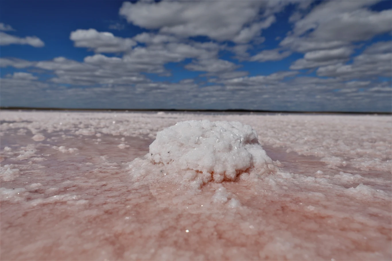 Kobeituz zaróżowiało również w zeszłym roku, ale taka sytuacja nie powtarza się zbyt często. Jeszcze wcześniej takie wydarzenie miało miejsce dopiero około dziesięć lat temu, dlatego turyści bardzo chętnie wykorzystują daną im okazję. Kobeituz zaróżowiało również w zeszłym roku, ale taka sytuacja nie powtarza się zbyt często. Jeszcze wcześniej takie wydarzenie miało miejsce dopiero około dziesięć lat temu, dlatego turyści bardzo chętnie wykorzystują daną im okazję.