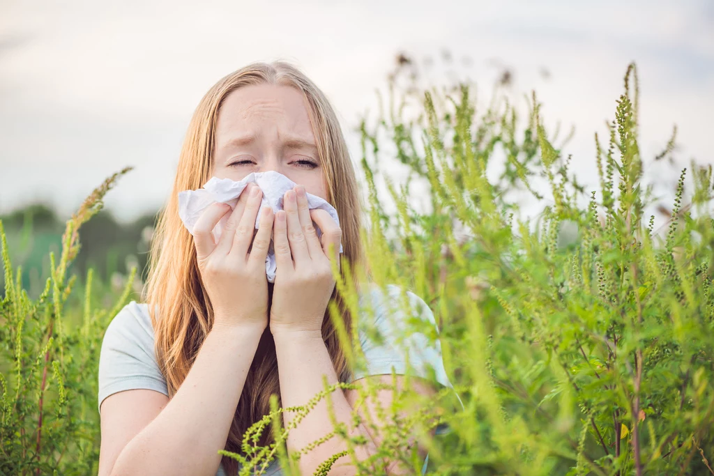 Alergia nie jest stanem normalnym i należy ją leczyć
