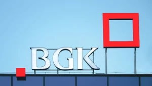 BGK ogłosił srategię na lata 2025-2030