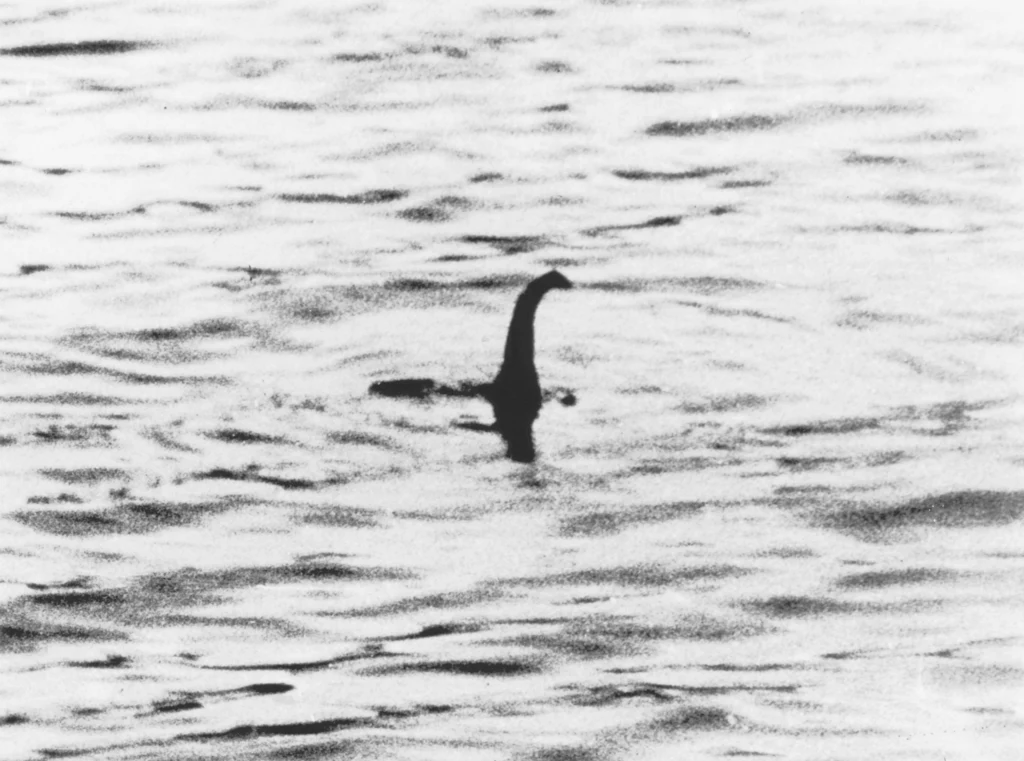 Najsłynniejsze zdjęcie Nessie pochodzi z 1934 r. Jego autorem Robert Kenneth Wilson, ale po latach udowodniono, że to oszustwo