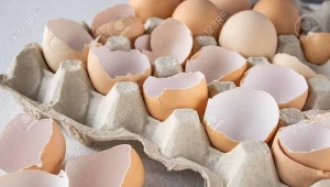 Nie wyrzucaj wytłoczek do jajek. Wykorzystaj je w domu 