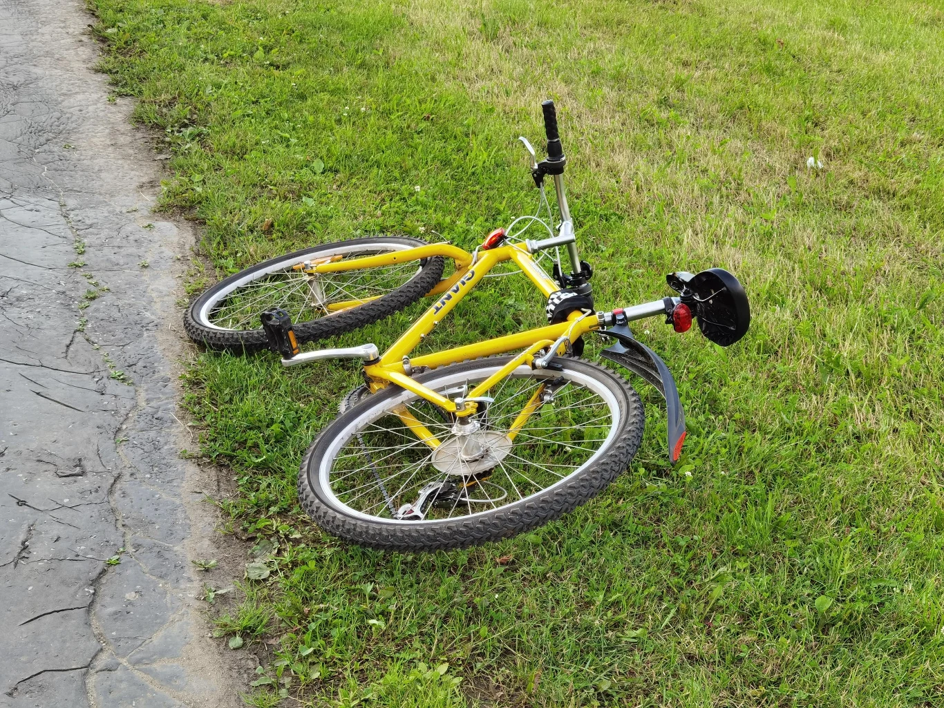 Huawei P40 Pro+ przykładowe zdjęcia