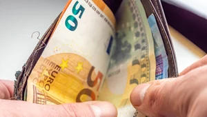 Kolejne kraje szykują się do przystąpienia do strefy euro