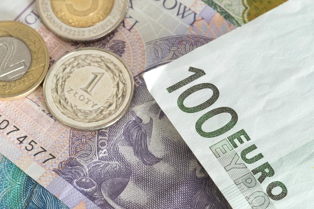 1 euro może pod koniec roku kosztować blisko 5 zł - wskazują ekonomiści