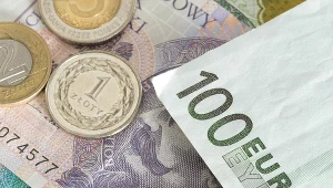 1 euro może pod koniec roku kosztować blisko 5 zł - wskazują ekonomiści