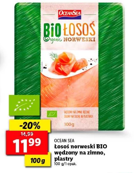 Łosoś norweski Ocean Sea
