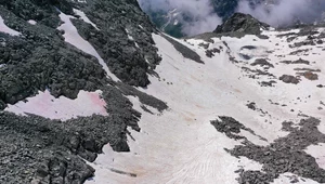 Różowe lodowce we włoskich Alpach