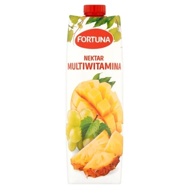 Fortuna Nektar multiwitamina 1 l - 2