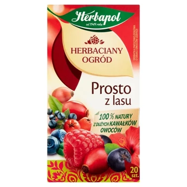 Herbapol Herbaciany Ogród Herbatka owocowo-ziołowa prosto z lasu 50 g (20 x 2,5 g) - 1