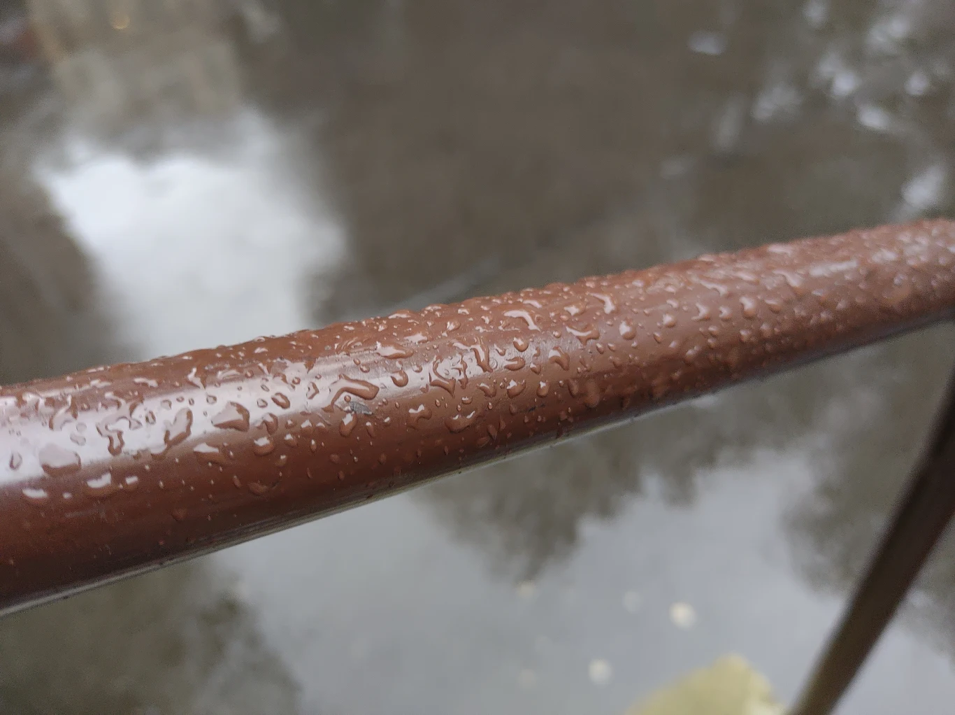 Motorola Edge - przykładowe zdjęcia Motorola Edge - przykładowe zdjęcia