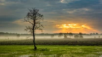 Podlasie 

Kolejnym fantastycznym i niebanalnym kierunkiem na wakacje jest Podlasie, czyli region przytulony do północno-wschodniej granicy Polski. Województwo podlaskie pełne jest szeroko pojętych „smaczków”. Podlasie to mieszanka wielkich przestrzeni i dzikiej natury, a kropką nad i jest szczególna na skalę kraju różnorodność religijna. W dodatku wytrawni koneserzy regionu oraz wszyscy szukający ciszy i spokoju mogą liczyć na atrakcyjną bazę noclegową - przytulne wiejskie chaty (Dom na Rykowisku, Sielska Zagroda, Pensjonat Uroczysko Zaborek, Plutycze 6 i Inna Bajka) oraz urządzone ze smakiem pałacowe pokoje (Pałac Cieleśnica). A może to czas, by spełnić marzenia z dzieciństwa i przynajmniej na chwilę zamieszkać w zamku? Zamek w Tykocinie oferuje powrót do przeszłości i iście królewską ucztę z podlaskimi, żydowskimi oraz tatarskimi przysmakami.