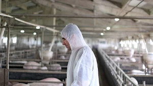 Dojdzie do zapaści branży mięsnej? Może zabraknąć CO2