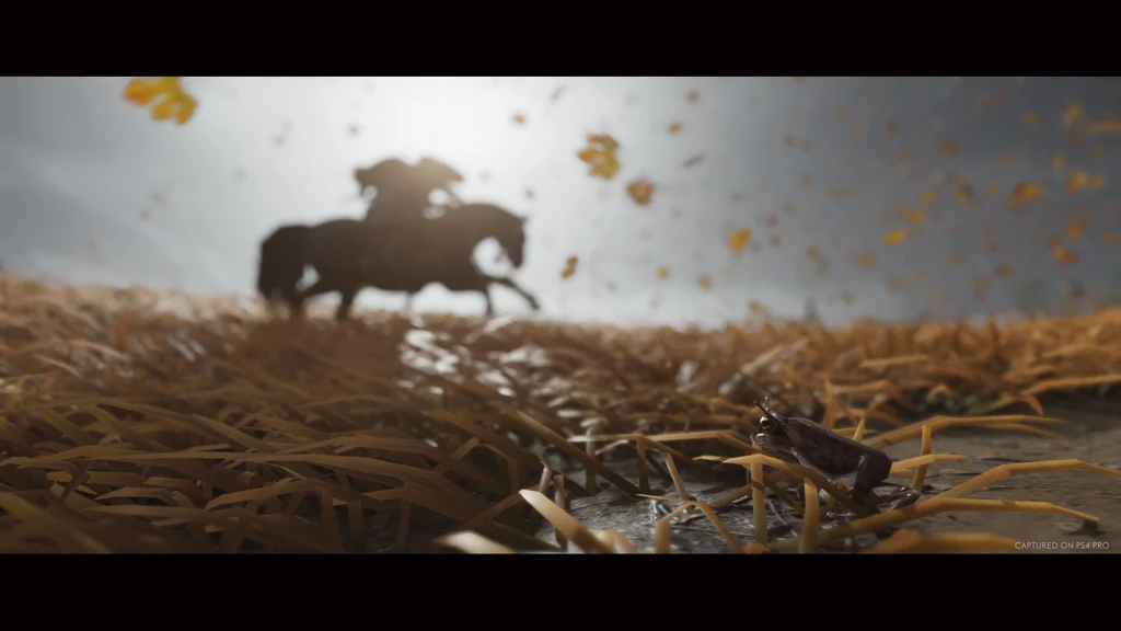 Ghost of Tsushima Ghost of Tsushima