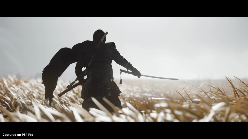 Ghost of Tsushima Ghost of Tsushima