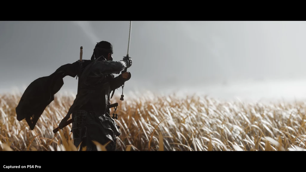 Ghost of Tsushima Ghost of Tsushima