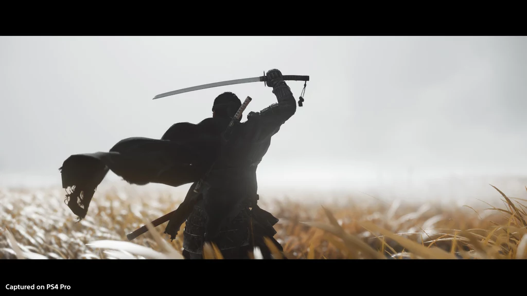 Ghost of Tsushima Ghost of Tsushima