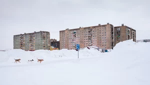 Zimne piękno. Jak wyglądają syberyjskie miasta?